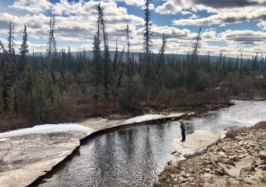 Person standing on ice looking into flowing stream in the near Arctic.